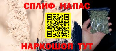 шишки Пугачёв