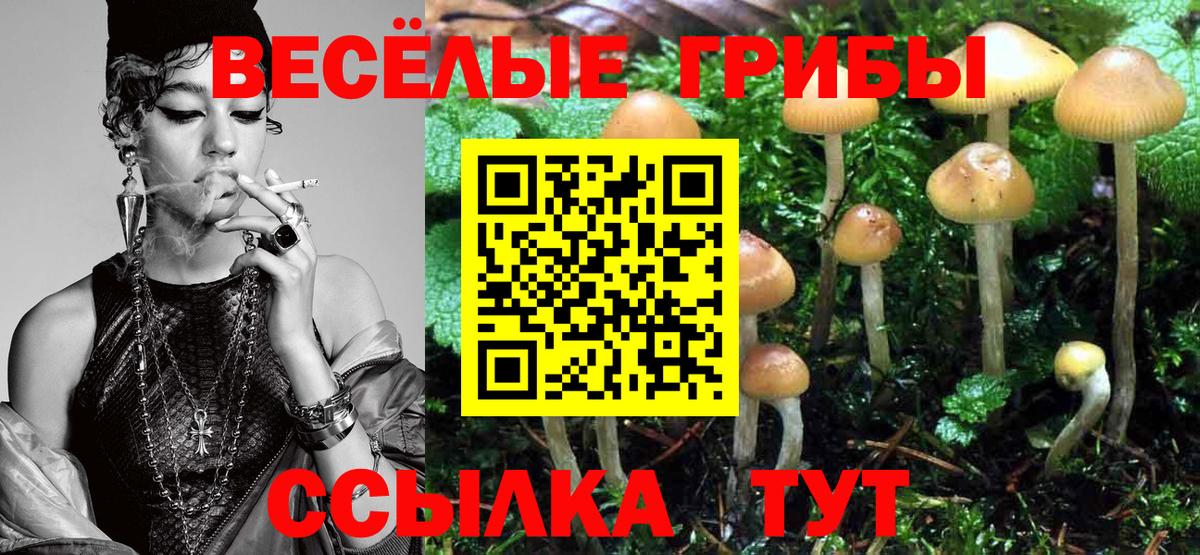 Галлюциногенные грибы GOLDEN TEACHER  Вход с VPN  как найти наркотики  Галлюциногенные грибы Cubensis  Севастополь 